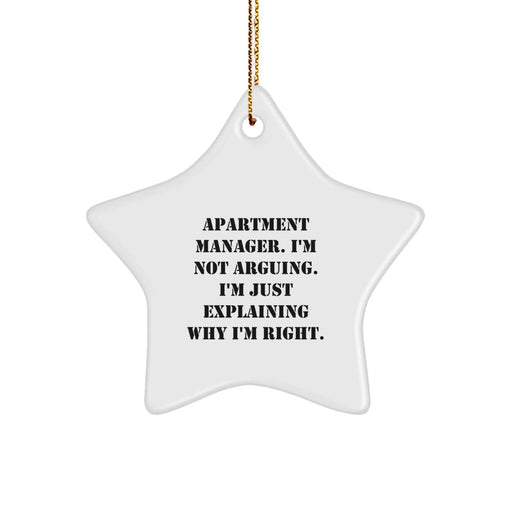 Funny Apartment Manager Gifts from Men - Apartment Manager Star Ornament with Inspirational Quote for Christmas Unique Gifts - Image 1