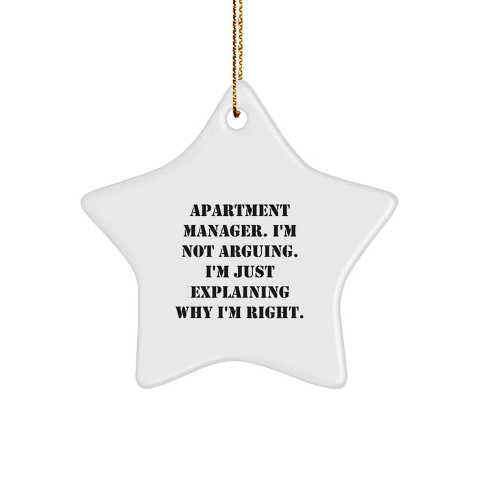 Funny Apartment Manager Gifts from Men - Apartment Manager Star Ornament with Inspirational Quote for Christmas Unique Gifts - Image 1