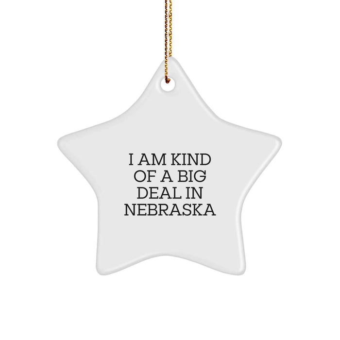 Nebraska Star Ornament, Funny Quote Gift from Men to Friends, Perfect Christmas Unique Gifts for Kind of a Prime Selection in Nebraska - Image 1