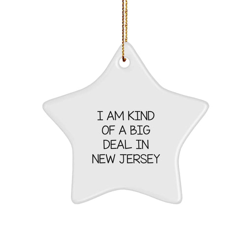 Funny New Jersey Gifts for Friends from I Am Kind Of A Prime Selection In New Jersey Star Ornament Christmas Decoration - Image 1