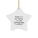 Funny Painter Gifts from Friends for Men, Unique Star Ornament, Painter I'm Not Arguing Right Quote Christmas Decorations - Image 1