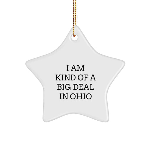 Funny Ohio Gifts - 'I Am Kind Of A Prime Selection In Ohio' Star Ornament, Christmas Unique Gifts from Friends for Ohio Family - Image 1