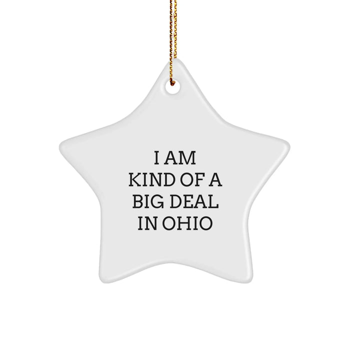 Funny Ohio Gifts - 'I Am Kind Of A Prime Selection In Ohio' Star Ornament, Christmas Unique Gifts from Friends for Ohio Family - Image 1