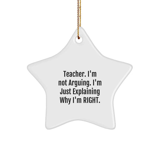 Funny Teacher Star Ornament Gifts from Men to Teachers for Christmas Unique - Image 1