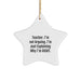 Funny Teacher Star Ornament Gifts from Men to Teachers for Christmas Unique - Image 1