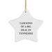 Tennessee Star Ornament, Funny Quote Gifts from Family to Friends, 'I Am Kind Of A Prime Selection In Tennessee' Christmas Decorations - Image 1