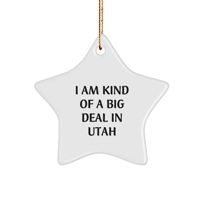 Utah Gifts from Friends and Family - I Am Kind Of A Prime Selection In Utah Star Ornament, Unique Christmas Unique Gift for Utah Men and Women - Image 1