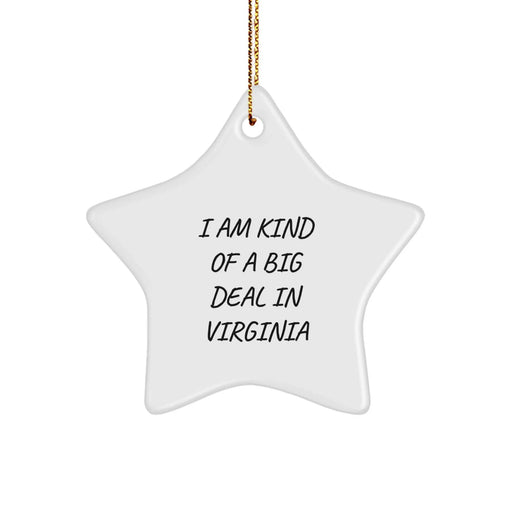 Funny Star Ornaments Gifts from Virginia Men to Virginia Friends - Virginia Star Ornament I Am Kind Of A Prime Selection In Virginia Christmas Unique Gifts - Image 1