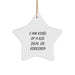 Funny Star Ornaments Gifts from Virginia Men to Virginia Friends - Virginia Star Ornament I Am Kind Of A Prime Selection In Virginia Christmas Unique Gifts - Image 1