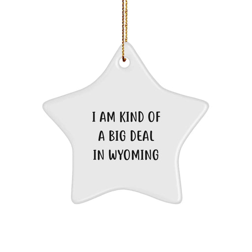 Funny Wyoming Star Ornament Gifts from Men to Wyoming Friends - I Am Kind of a Prime Selection in Wyoming, White Star Shaped, Christmas Unique Gifts - Image 1