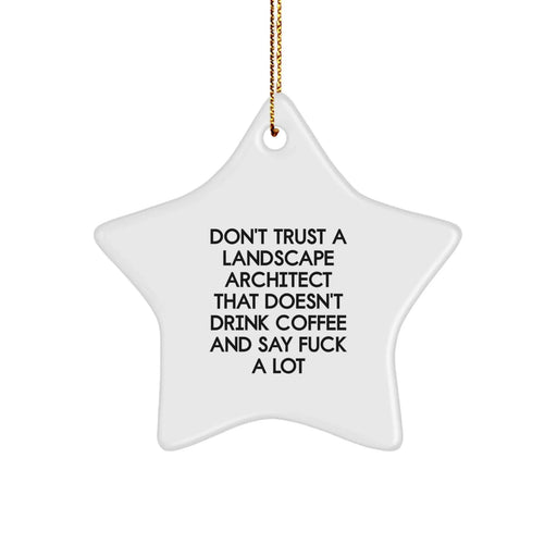 Funny Landscape Architect Gifts, Christmas Unique Star Ornament, Gifts from Men to Women Friends Family, Don't Trust a Landscape Architect That Doesn't Drink Coffee and Say F--k a Lot - Image 1