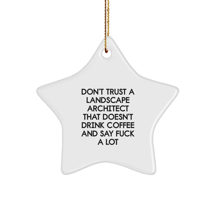 Funny Landscape Architect Gifts, Christmas Unique Star Ornament, Gifts from Men to Women Friends Family, Don't Trust a Landscape Architect That Doesn't Drink Coffee and Say F--k a Lot - Image 1