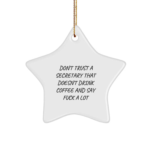 Funny Secretary Gifts, Star Ornament for Christmas, 'Don't Trust A Secretary That Doesn't Drink Coffee And Say F--k A Lot' - Gifts from Friends, Coworkers, Family for Secretary, Men, Women - Image 1