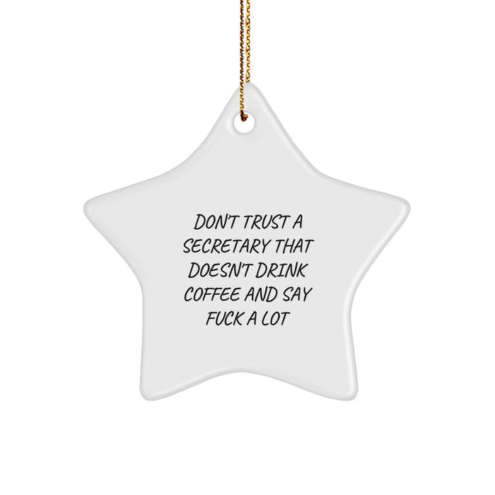 Funny Secretary Gifts, Star Ornament for Christmas, 'Don't Trust A Secretary That Doesn't Drink Coffee And Say F--k A Lot' - Gifts from Friends, Coworkers, Family for Secretary, Men, Women - Image 1