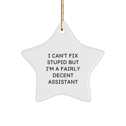 Funny Assistant Gifts for Christmas Star Ornament with I Can't Fix Stupid Quote, Gifts from Friends for Assistant, Funny Assistant Men Women Gifts - Image 1