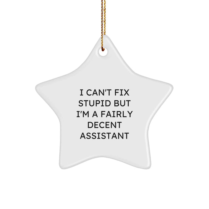 Funny Assistant Gifts for Christmas Star Ornament with I Can't Fix Stupid Quote, Gifts from Friends for Assistant, Funny Assistant Men Women Gifts - Image 1