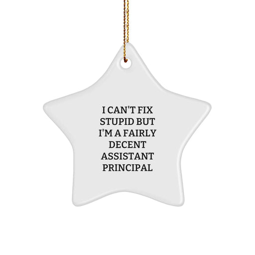 Funny Assistant Principal Star Ornament Gift from Friends, Christmas Unique Decorations, 'I Can't Fix Stupid' Quote for Assistant Principal Men or Women - Image 1