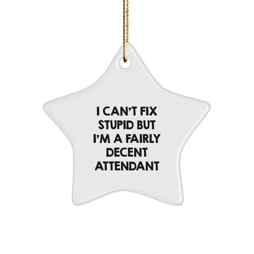 Funny Attendant Star Ornament Gifts from Men, Women, Friends, Family to Attendants, Coworkers for Christmas Unique Decorations - Image 1