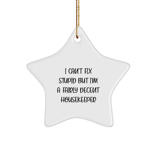 Funny Housekeeper Star Ornament Gifts from Men to Family Members with Humorous I Can't Fix Stupid But I'm A Fairly Decent Housekeeper Quote for Christmas - Image 1