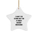 Funny Mechanic Gifts for Men, 'I Can't Fix Stupid But I'm A Fairly Decent Mechanic' Star Ornament, Perfect Christmas Unique Gifts from Friends, Family to Mechanic, Men, Women, Coworkers, Colleagues - Image 1