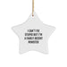 Funny Minister Star Ornament Gift for Him, 'I Can't Fix Stupid' Christmas Decoration from Friends, Family, Coworkers - Image 1