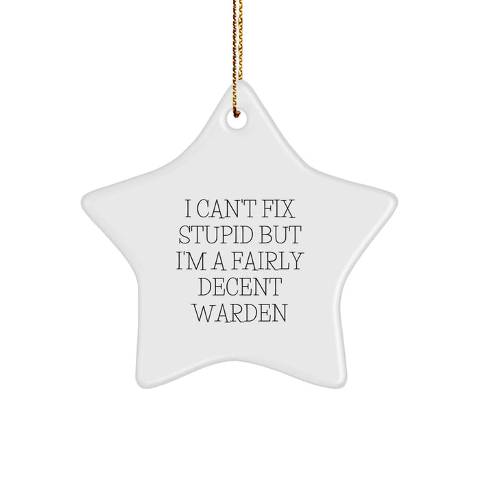 Funny Warden Quotes Star Ornament - Gifts from Friends for Warden Men, Christmas Unique Gifts, Star Shaped Decorations, I 'Can't Fix Stupid But I'm A Fairly Decent Warden' Quote - Image 1