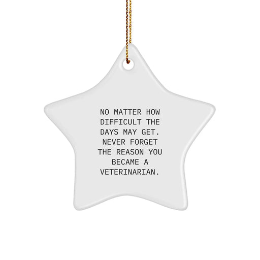 Funny Veterinarian Star Ornament Gifts from Friends and Family for Christmas Unique, Never Forget the Reason You Became a Veterinarian, Star Ornament - Image 1