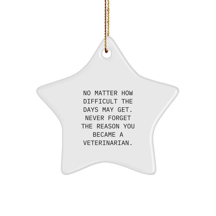 Funny Veterinarian Star Ornament Gifts from Friends and Family for Christmas Unique, Never Forget the Reason You Became a Veterinarian, Star Ornament - Image 1