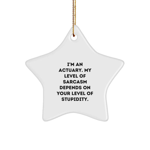 Funny Actuary Gifts for Men, Women, Friends, Coworkers, Family - I'm An Actuary Star Ornament with Sarcasm Humor, Christmas Unique Gifts from Men, Gifts for Actuary - Image 1