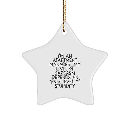 Funny Apartment Manager Christmas Star Ornament Gifts for Men - 'I'm An Apartment Manager', Gifts from Friends, Funny Holiday Decor - Image 1