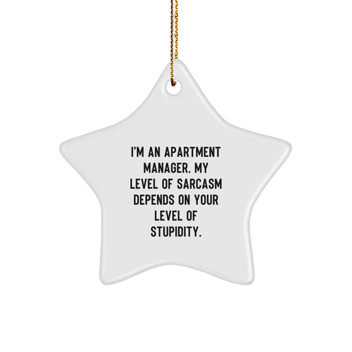 Funny Apartment Manager Star Ornament Gifts from Friends - Christmas Unique Gifts for Apartment Managers - Sarcasm Humor Star Decoration - Image 1