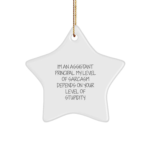 Funny Assistant Principal Gifts from Friends - Sarcasm Level Star Ornament for Christmas Unique Gifts - Image 1