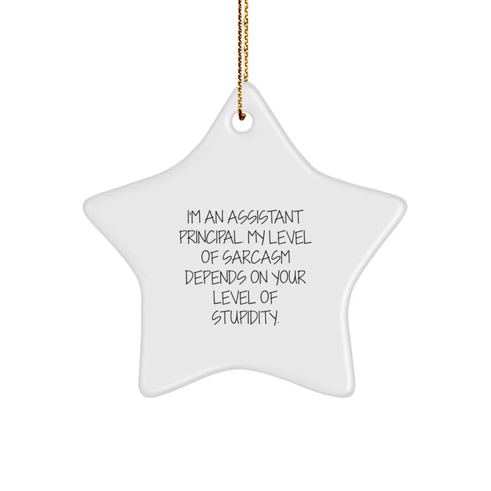 Funny Assistant Principal Gifts from Friends - Sarcasm Level Star Ornament for Christmas Unique Gifts - Image 1