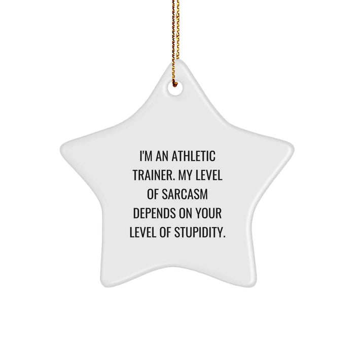 Funny Athletic Trainer Gifts from Friends - 'I'm An Athletic Trainer. My Level Of Sarcasm Depends On Your Level Of Stupidity.' Star Ornament for Christmas Unique Gifts for Men or Women - Image 1