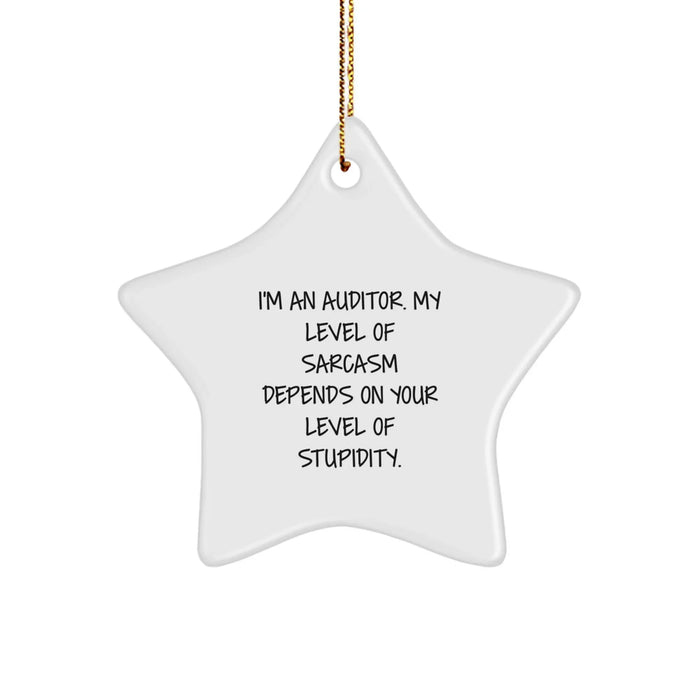 Funny Auditor Gifts for Friends - 'I'm An Auditor. My Level Of Sarcasm Depends On Your Level Of Stupidity.' Star Ornament Christmas Unique Gifts from Family - Image 1