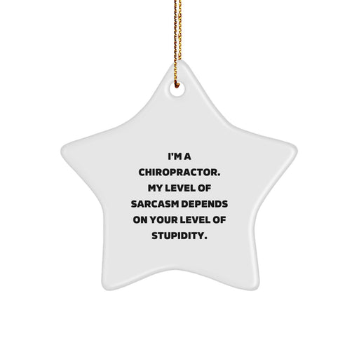 Funny Chiropractor Gifts for Christmas, Chiropractor Star Ornament with Sarcasm Quote, Gifts from Family to Chiropractor, Chiropractors Love Star Ornaments - Image 1