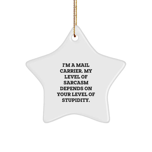 Funny Mail Carrier Gifts from Friends for Christmas Star Ornament - 'I'm A Mail Carrier My Level Of Sarcasm Depends On Your Level Of Stupidity' Decor - Image 1