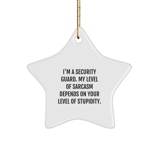 Funny Security Guard Star Ornament Gifts from Friends and Family for Men and Women, Christmas Unique Presents, I'm A Security Guard My Level Of Sarcasm Depends On Your Level Of Stupidity Star Shape - Image 1