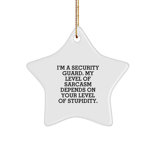 Funny Security Guard Gifts for Friends or Family - Star Ornament with Sarcasm Humor, Gifts from Men or Women, Christmas Decorations - Image 1