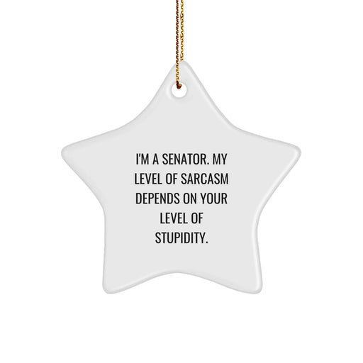 Funny Senator Gifts, Senator Star Ornament for Senator, Christmas Unique Gifts from Friends, Senator Decorations - Image 1