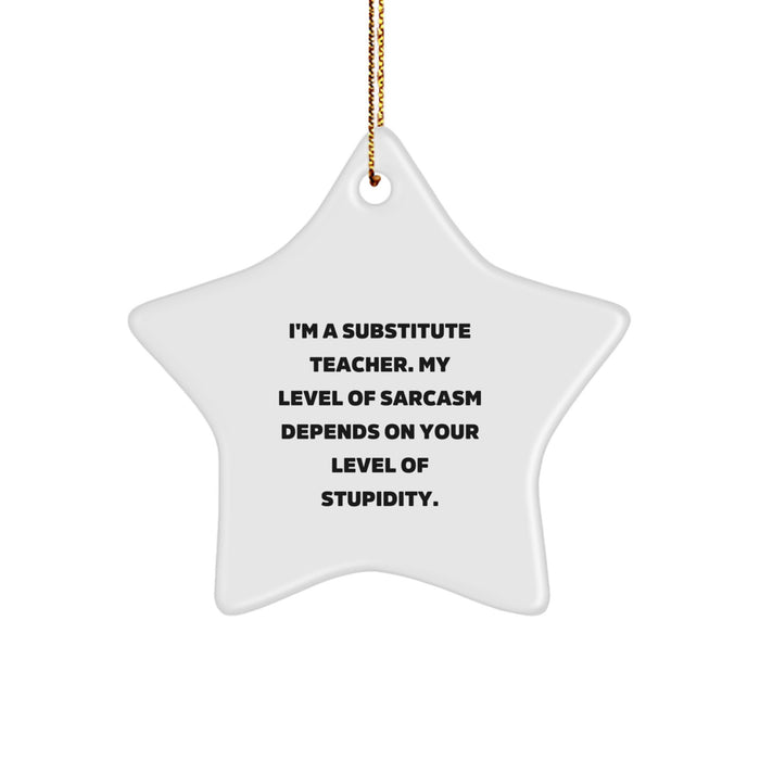 Funny Substitute Teacher Gifts from Friends and Family, 'I'm A Substitute Teacher. My Level Of Sarcasm Depends On Your Level Of Stupidity.' Star Ornament for Christmas Unique Gifts - Image 1