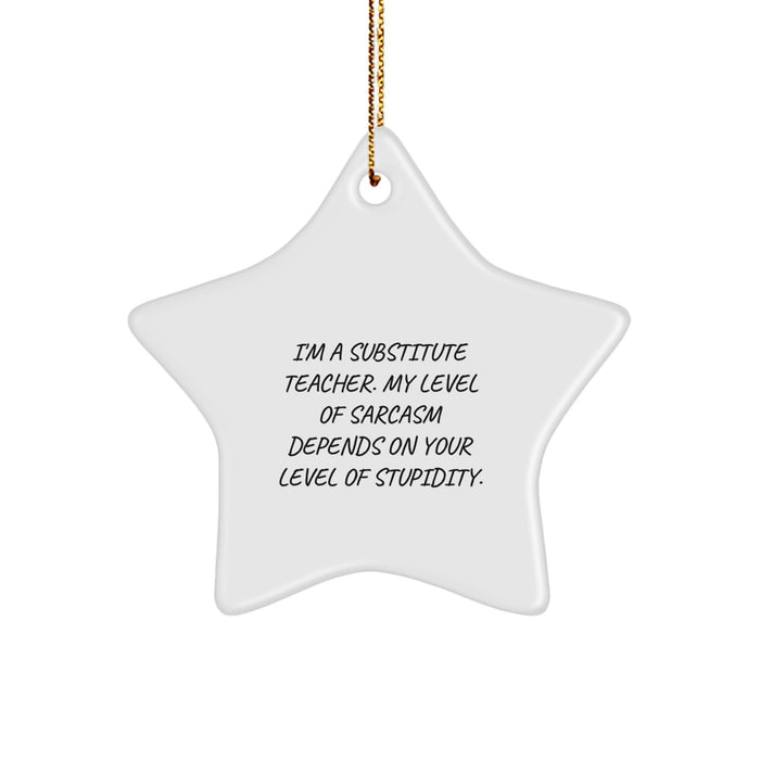 Funny Substitute Teacher Gifts for Men Friends Family Christmas Unique Star Ornament with Sarcasm Quote Gifts from Men to Family - Image 1