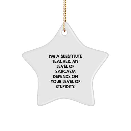 Funny Substitute Teacher Gifts from Men to Women Friends Coworkers, Star Ornament for Christmas Unique Gifts for Substitute Teacher, Inspirational Quote, Sarcasm, Humor - Image 1