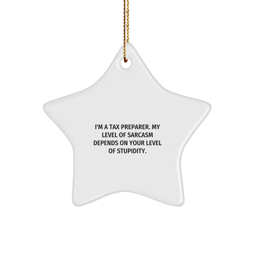 Funny Tax Preparer Gifts from Friends for Christmas Star Ornament with Sarcasm Quote - Image 1