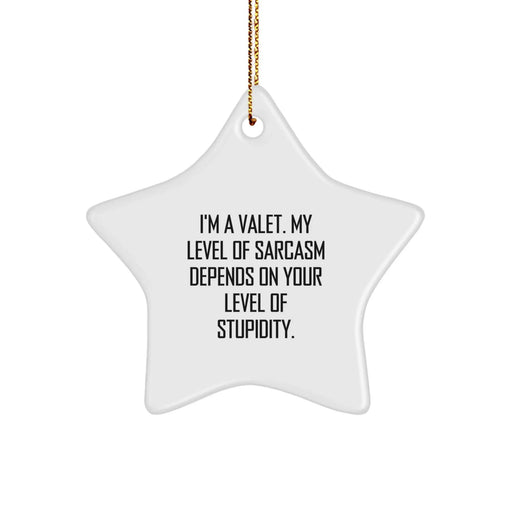 Funny Valet Christmas Star Ornament Gifts from Men to Friends Valet - 'I'm A Valet. My Level Of Sarcasm Depends On Your Level Of Stupidity.' - Image 1