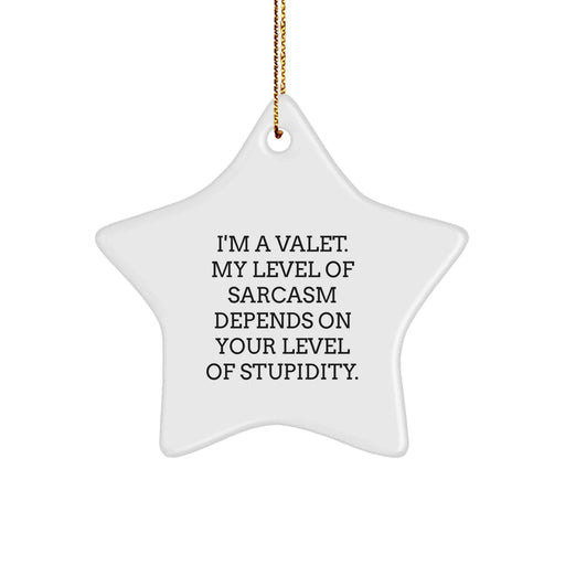 Funny Valet Star Ornament Gifts from Family to Valet Men Christmas Unique - Image 1
