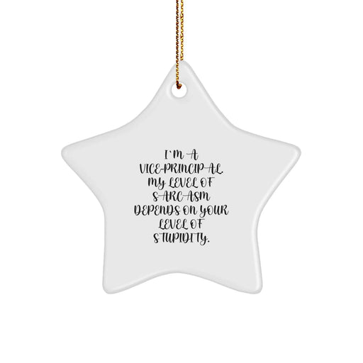 Funny Vice-principal Christmas Star Ornament Gifts from Friends, Co-workers, Family Members - I'm A Vice-principal. My Level Of Sarcasm Depends On Your Level Of Stupidity. - Image 1