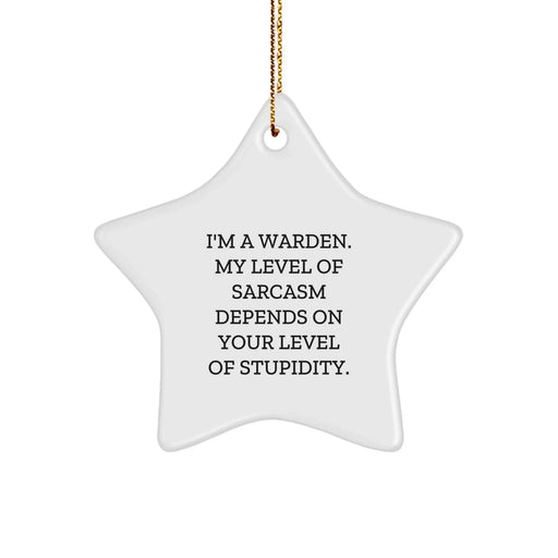 Funny Warden Gifts, Sarcasm Level Star Ornament for Warden Friends and Family, Christmas Unique Gifts from Men for Men, Women for Women - Image 1