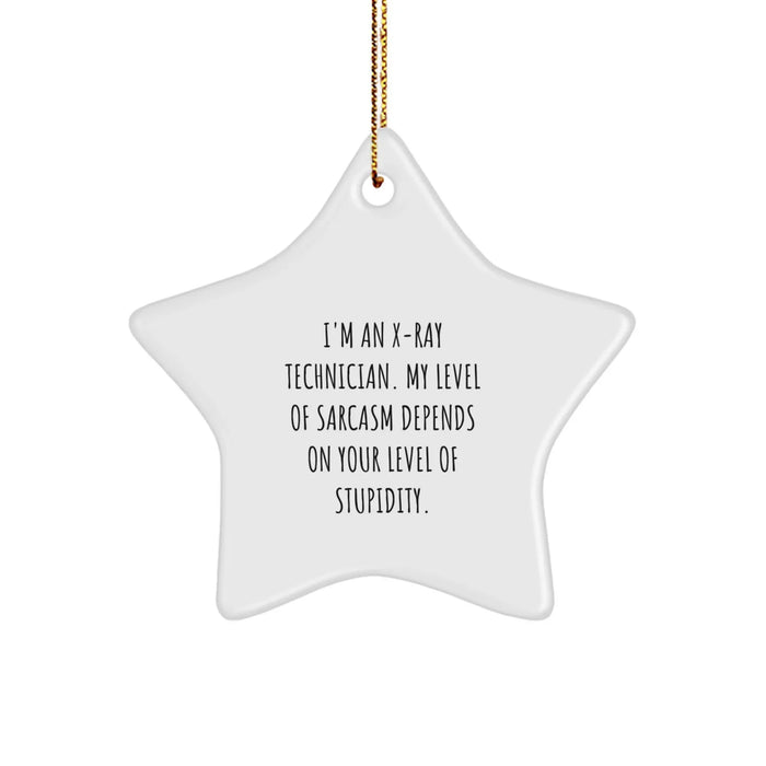 Funny X-Ray Technician Christmas Unique Gifts from Friends for X-Ray Technician Star Ornament, Sarcasm Level Dependent - Image 1