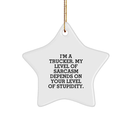 Funny Trucker Gifts from Friends - Trucker Star Ornament for Men - Christmas Unique Gifts for Him - Image 1